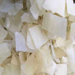 aloe-vera-déshydraté-naturel