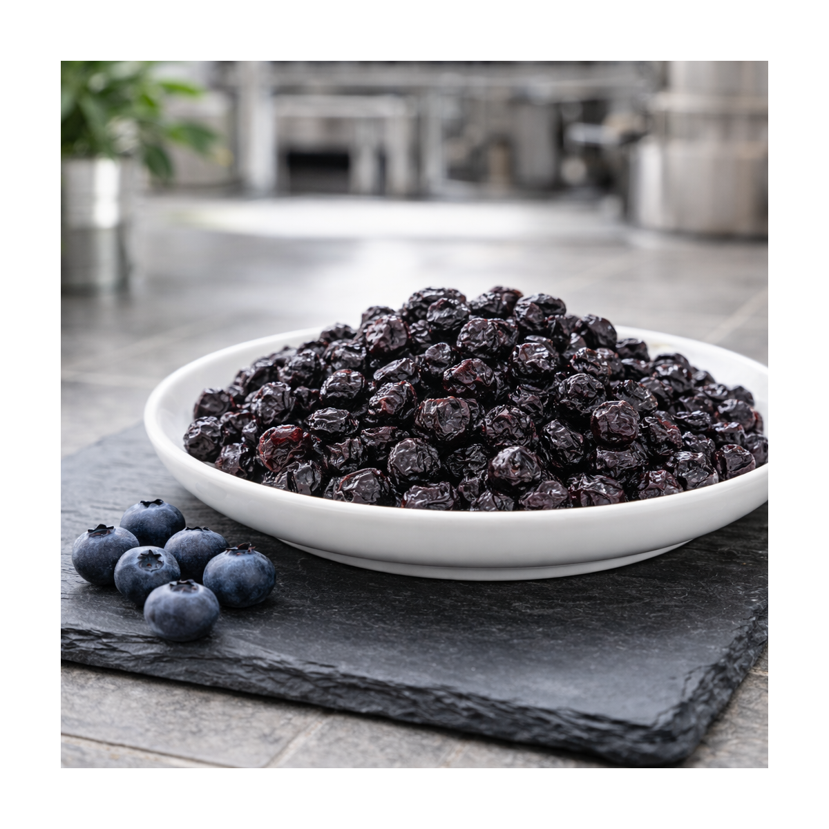 Myrtilles déshydratées premium en assiette blanche sur ardoise, cuisine professionnelle – Passion du Fruit France