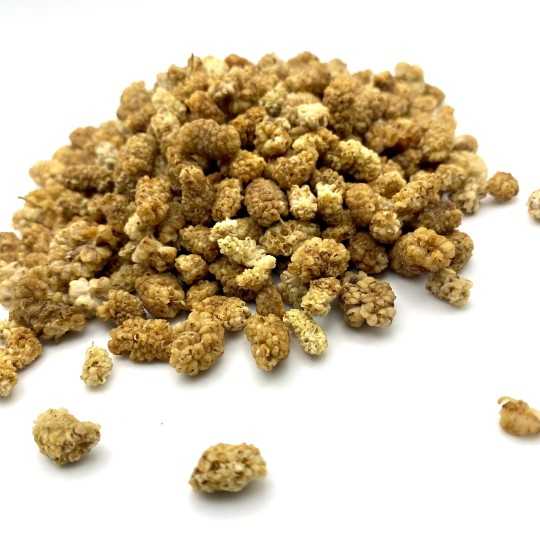 Dried-White-Mulberries