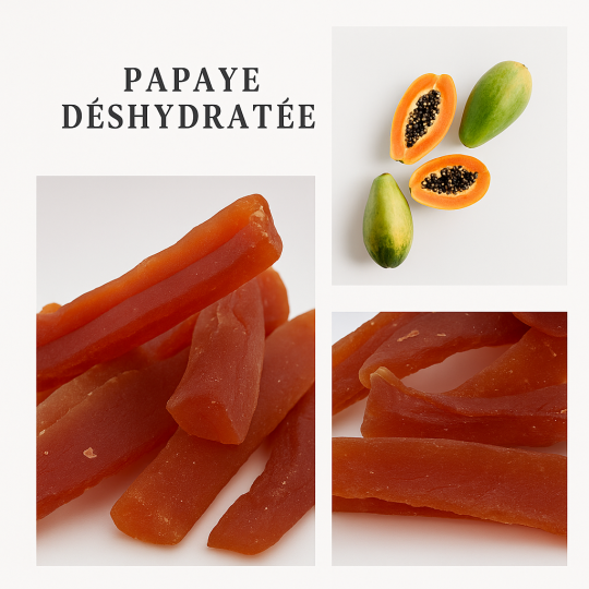 Lamelles de papaye séchée avec fruits tropicaux – snack sain France Lamelles de papaye séchée avec fruits tropicaux – snack sain France