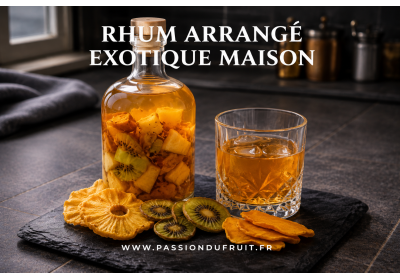 Recette de rhum arrangé aux fruits déshydratés – Saveurs exotiques maison image