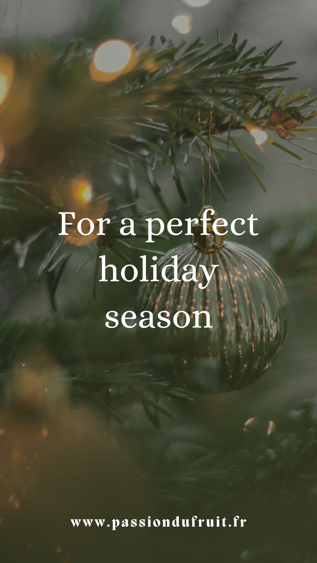 Story Instagram Joyeuses fêtes Photo Noël Elégant moderne.jpg